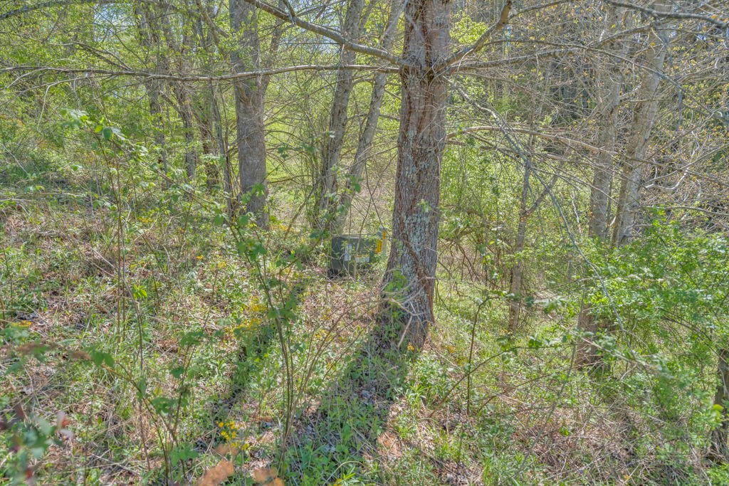 Lot 7 Paradise Valley Estates Property Photo 5