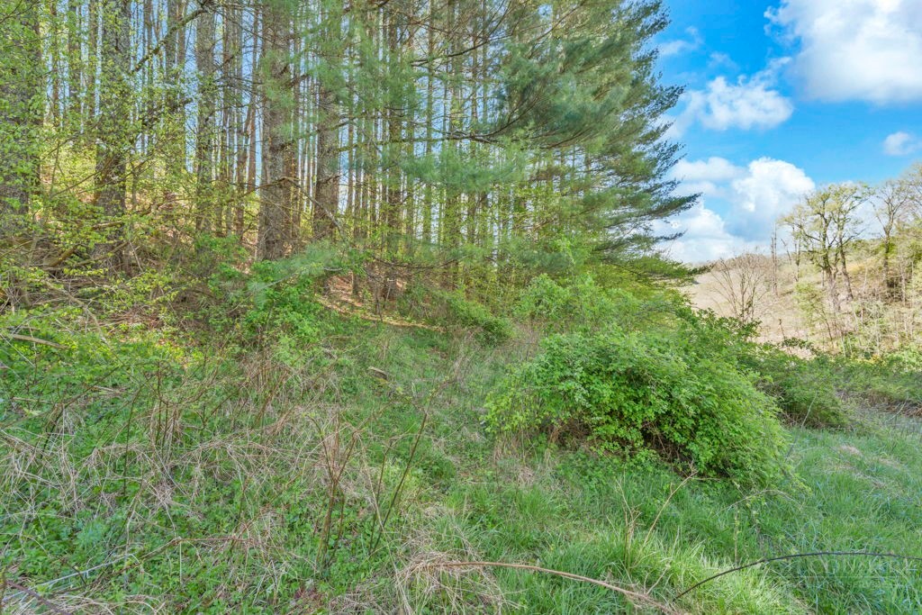 Lot 7 Paradise Valley Estates Property Photo 9