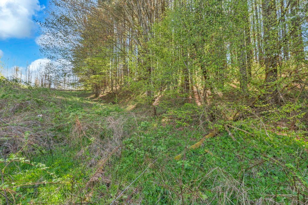 Lot 7 Paradise Valley Estates Property Photo 10