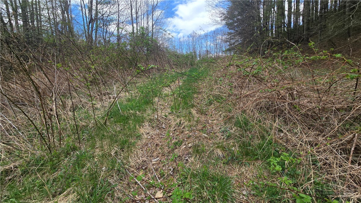 Lot 7 Paradise Valley Estates Property Photo 11