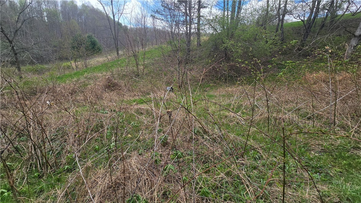 Lot 7 Paradise Valley Estates Property Photo 12