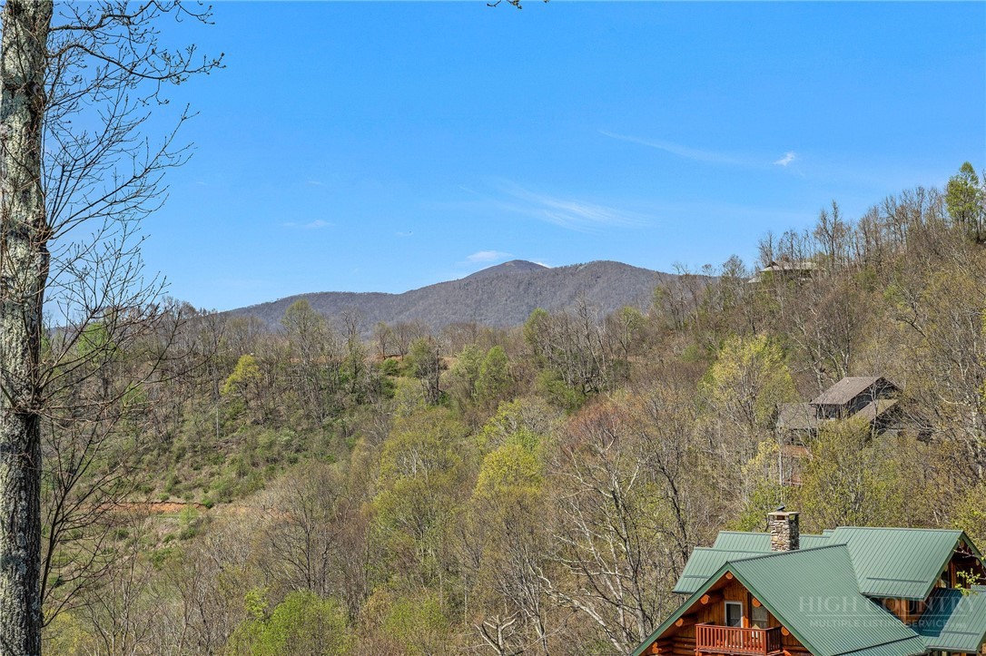 114 Elk Crossing Drive Property Photo 15