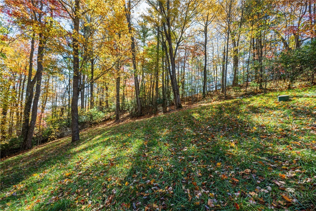 1584 Hattie Hill Road Property Photo 37