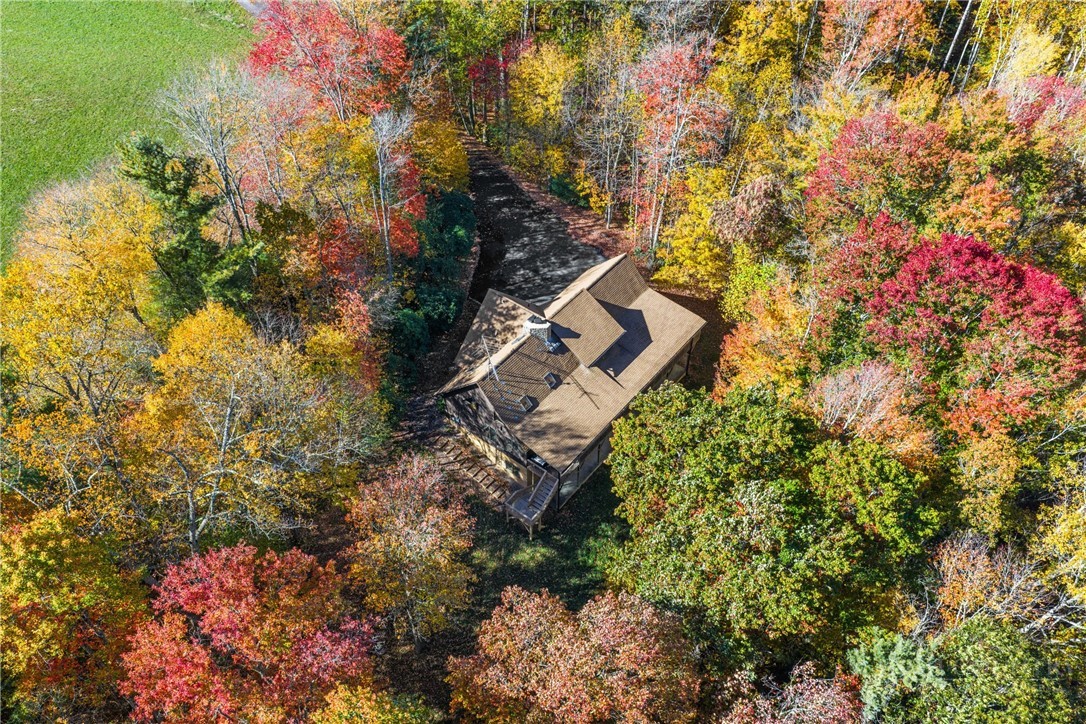 1584 Hattie Hill Road Property Photo 39