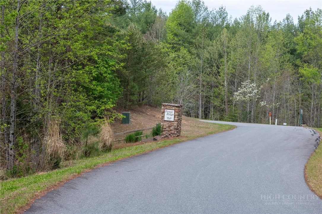000 Collette Ridge Circle Property Photo 8