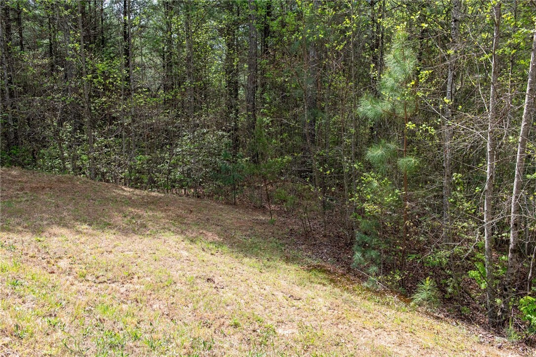 000 Collette Ridge Circle Property Photo 11