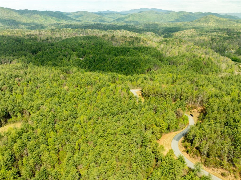 000 Collette Ridge Circle Property Photo 14