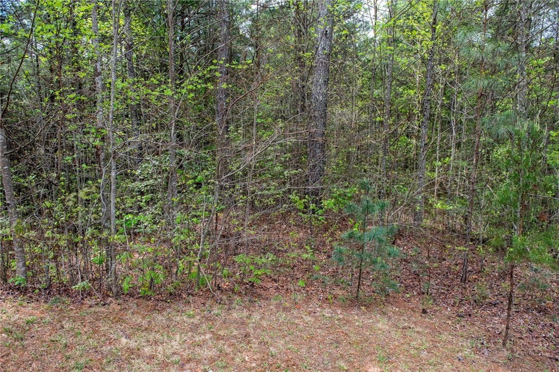 000 Collette Ridge Circle Property Photo 16