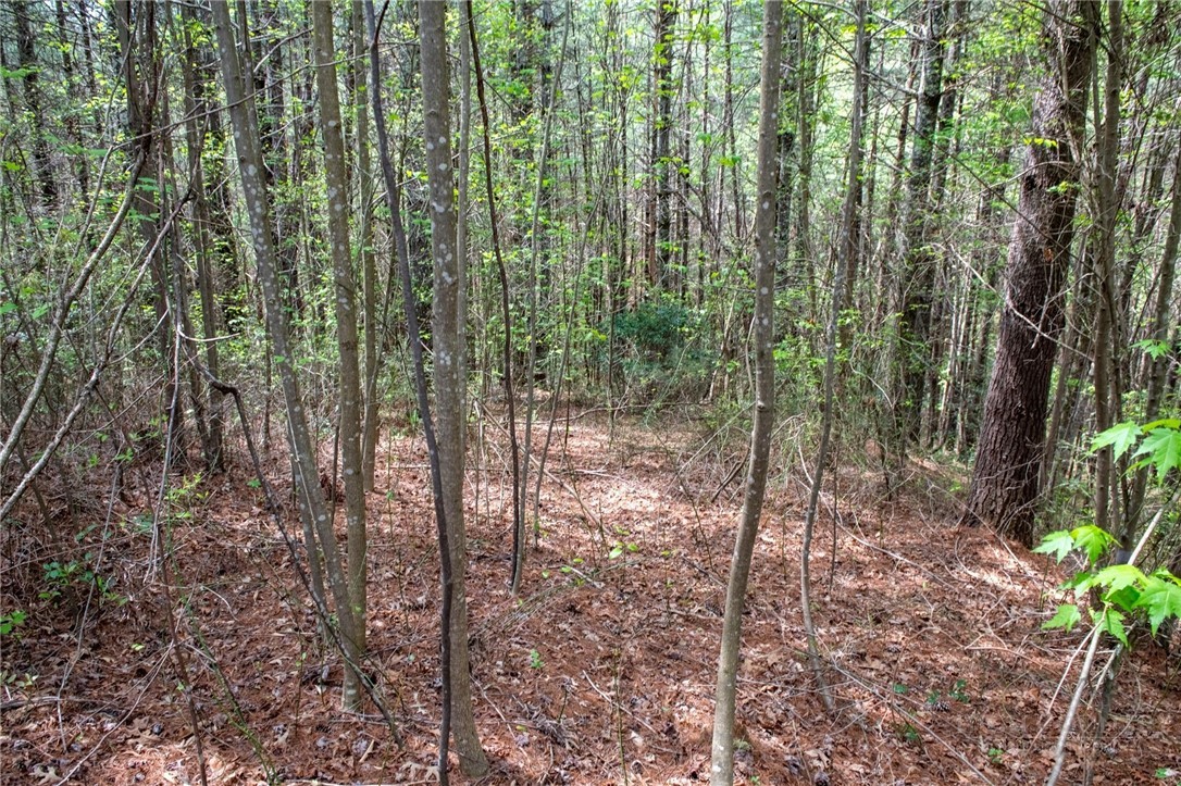 000 Collette Ridge Circle Property Photo 17