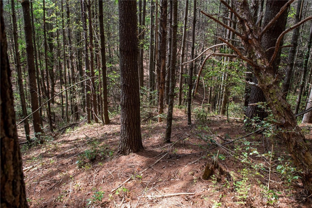 000 Collette Ridge Circle Property Photo 19