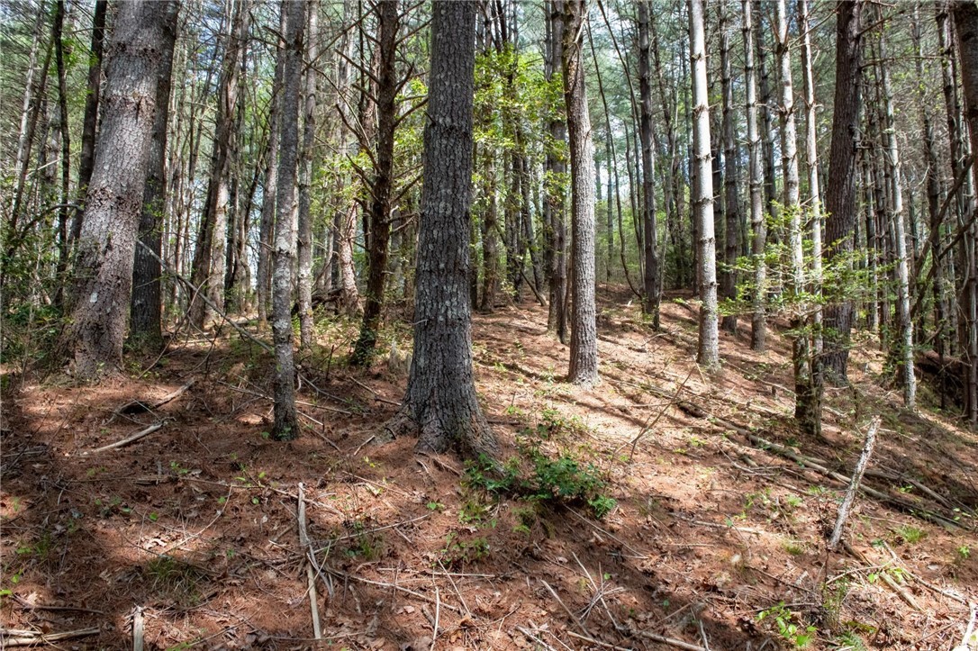 000 Collette Ridge Circle Property Photo 27