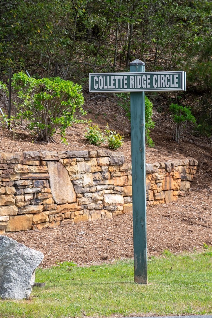 000 Collette Ridge Circle Property Photo 30