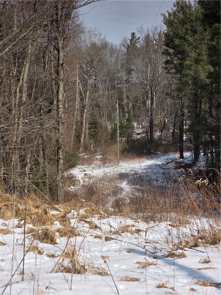 Tbd Bennett Lane Property Photo 1