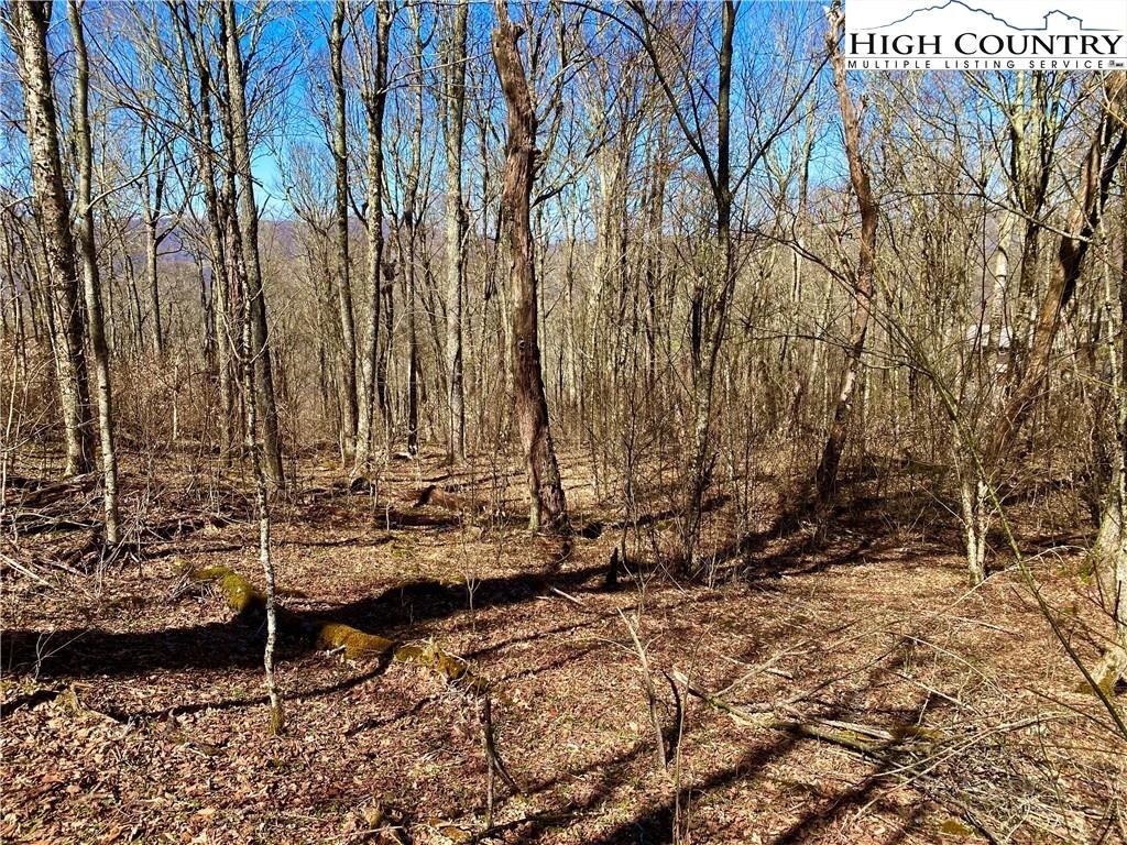 38 Sugar Tree Property Photo 1