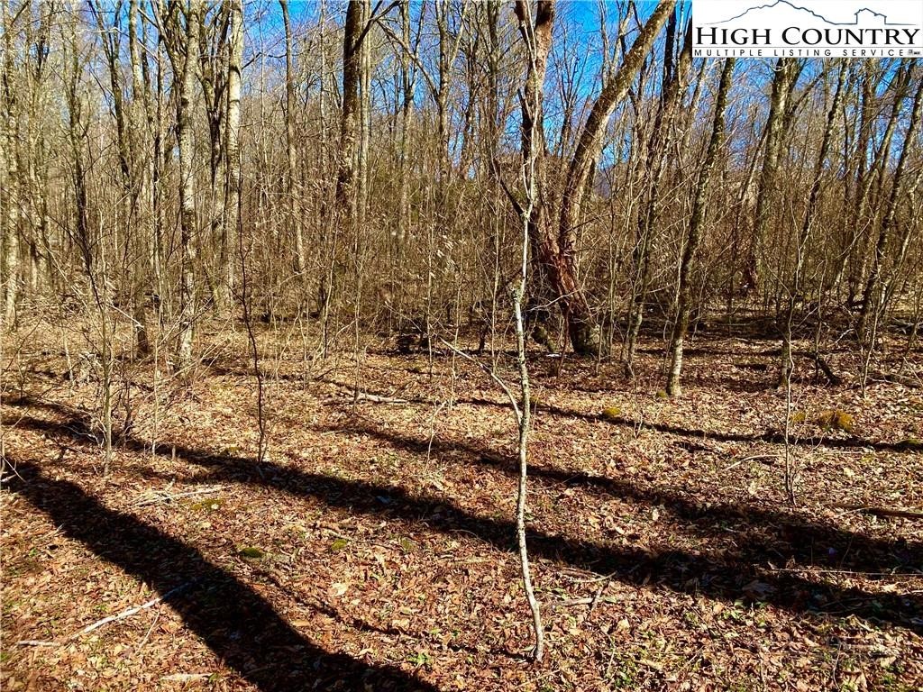 38 Sugar Tree Property Photo 2