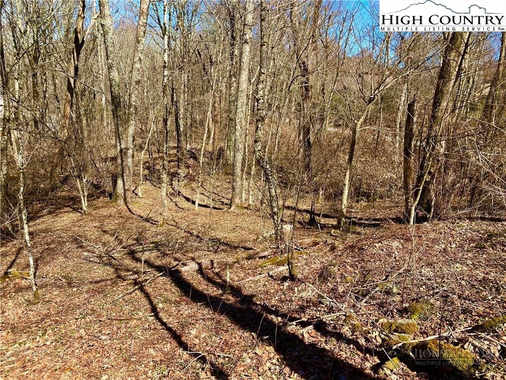 38 Sugar Tree Property Photo 3