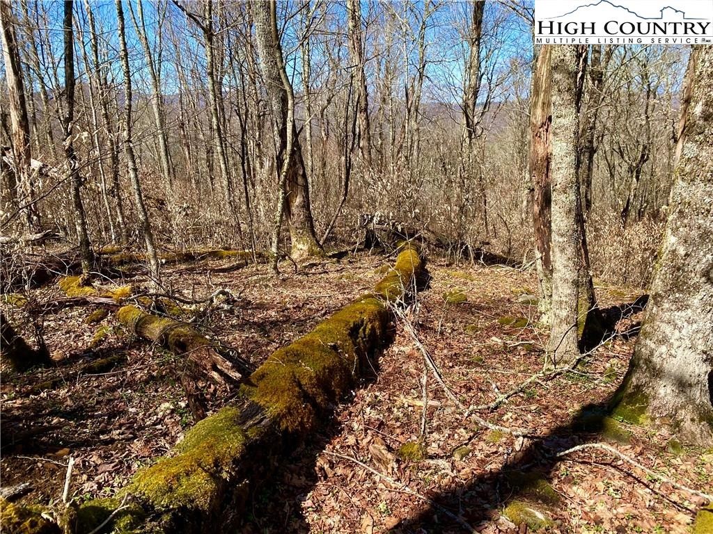 38 Sugar Tree Property Photo 4