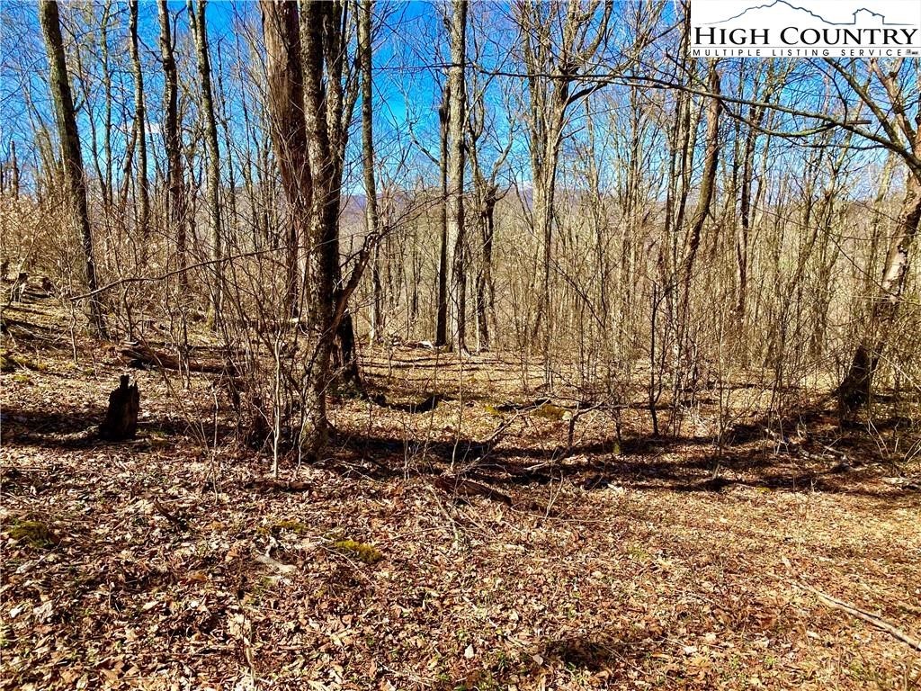 38 Sugar Tree Property Photo 5