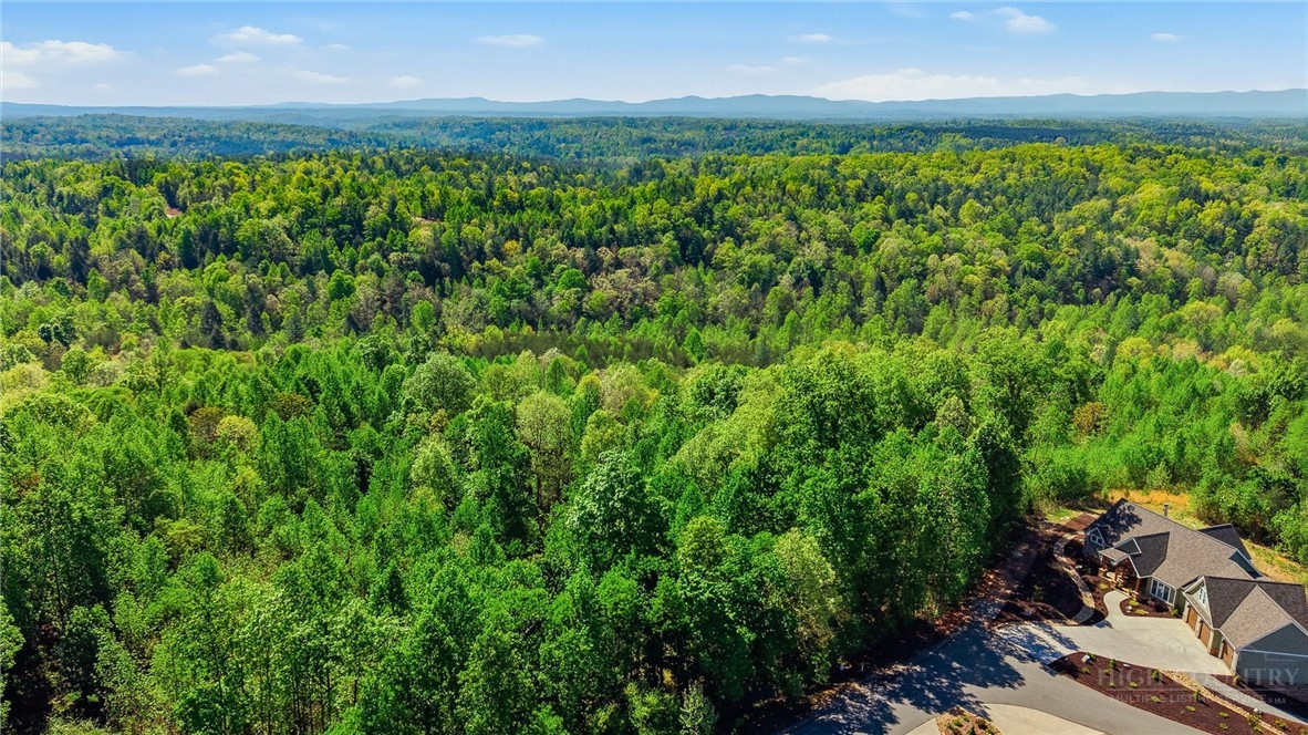 1029 River Club Ridge Property Photo 7