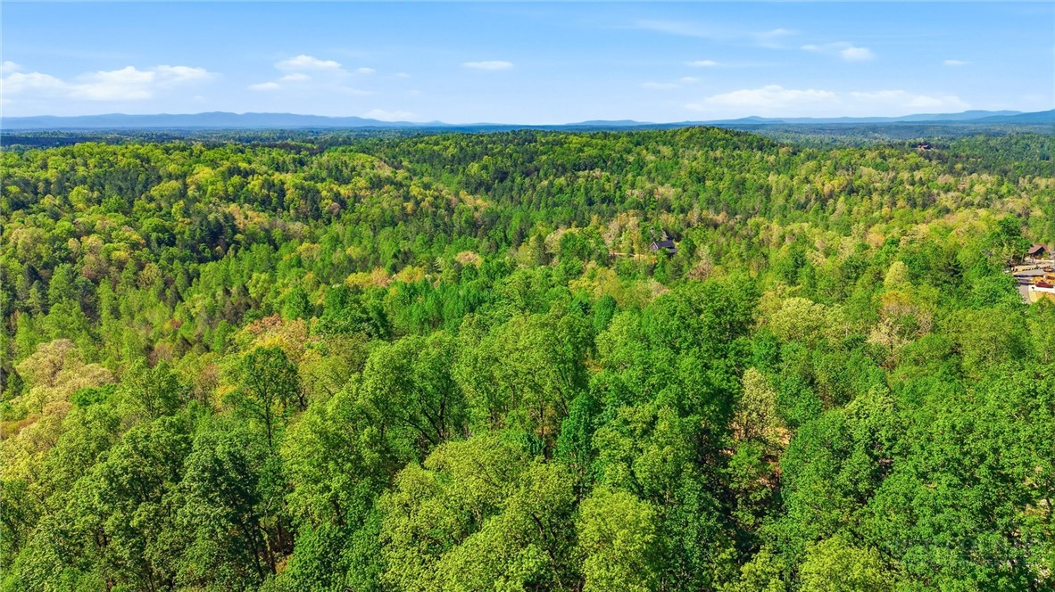 1029 River Club Ridge Property Photo 9