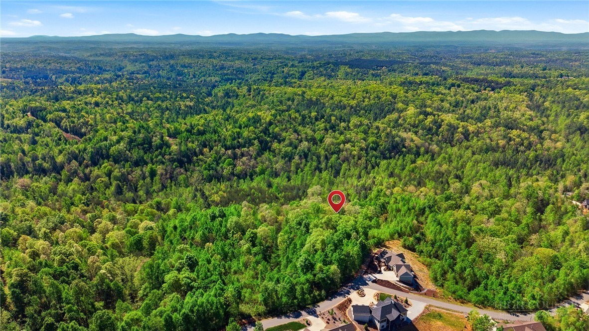 1029 River Club Ridge Property Photo 17
