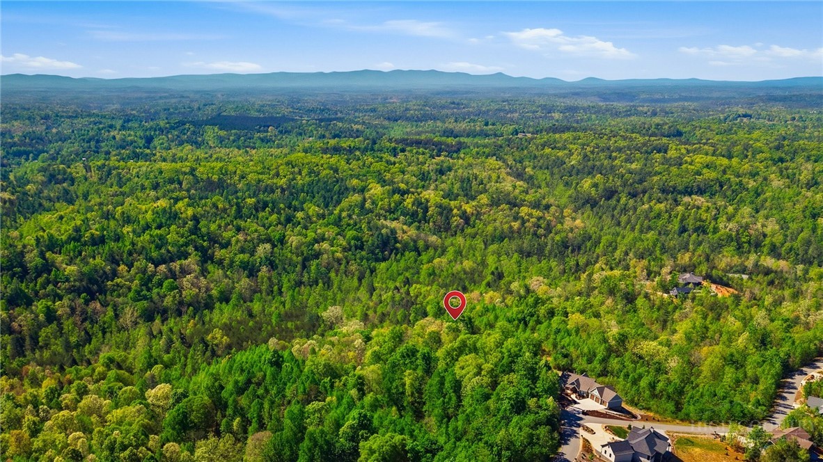 1029 River Club Ridge Property Photo 18