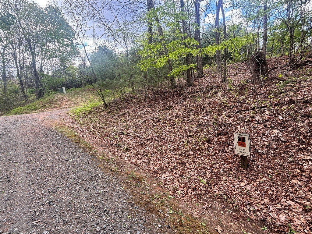 TBD Timberline Dr. Property Photo 1