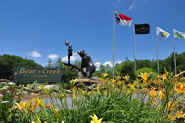 287 Cougar Run