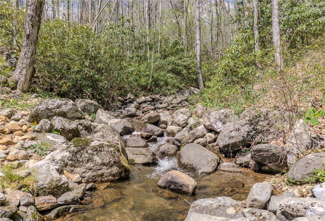 426 Cook Town Road Property Photo 48