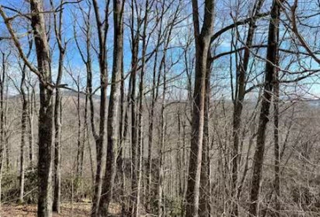 623 Wintergreen Drive Property Photo 31