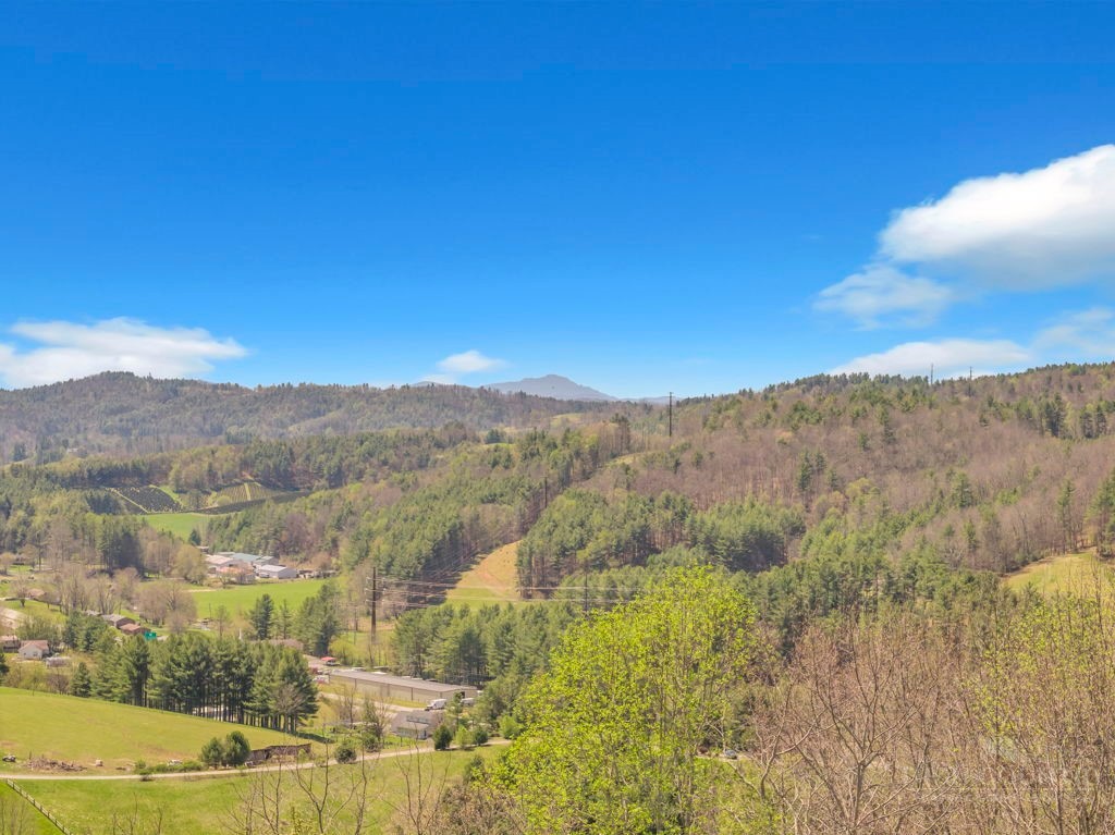 672 Cedar Trail Property Photo 44
