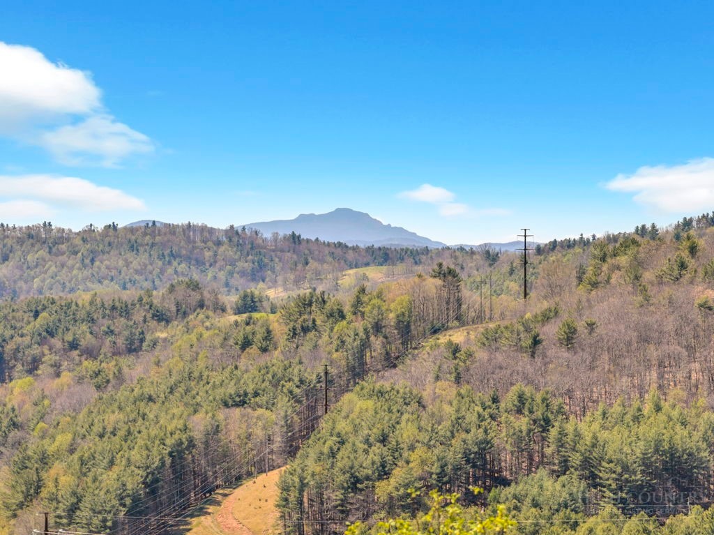 672 Cedar Trail Property Photo 45