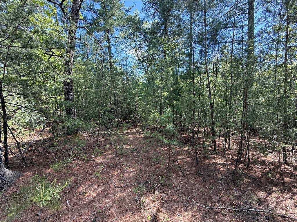 Lots 51 & 52a Staghorn Road Property Photo 6