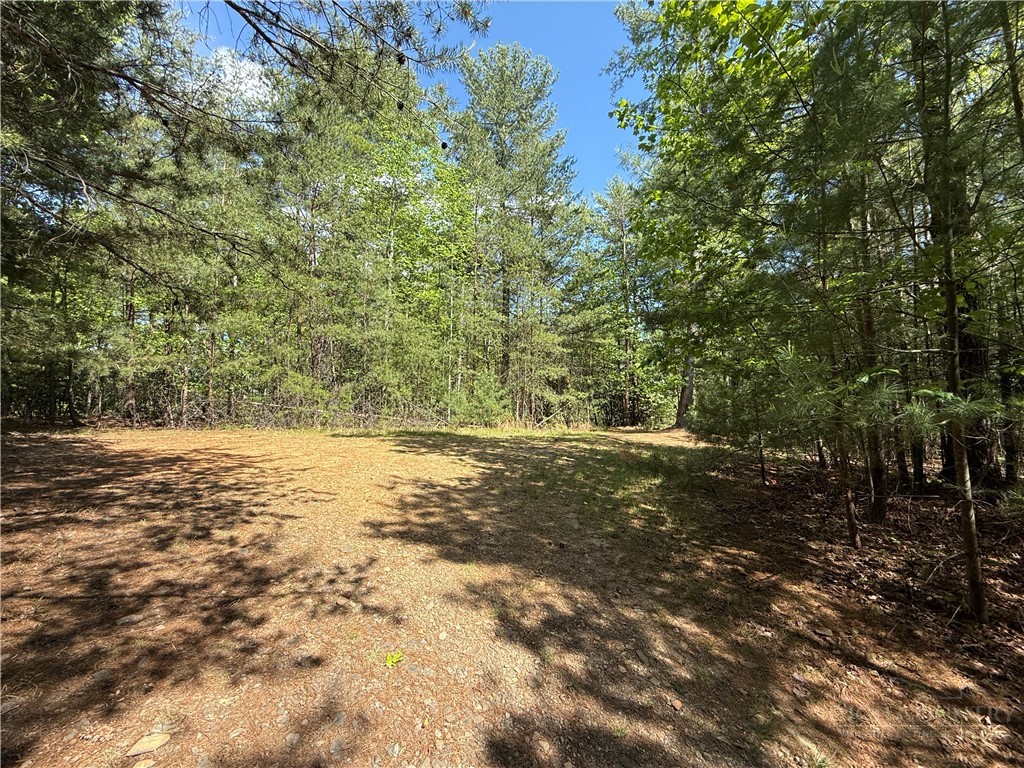 Lots 51 & 52a Staghorn Road Property Photo 7
