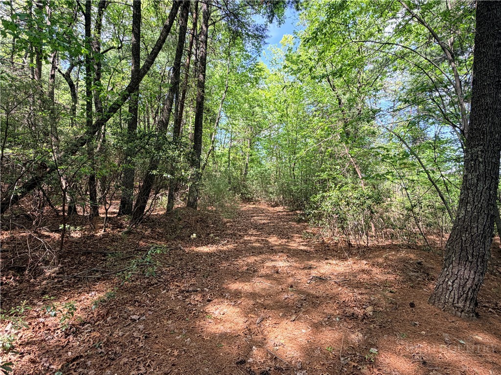 Lots 51 & 52a Staghorn Road Property Photo 10