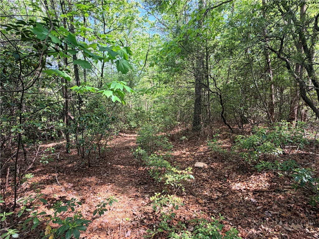 Lots 51 & 52a Staghorn Road Property Photo 11