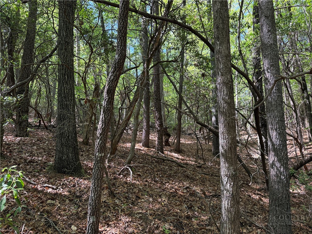 Lots 51 & 52a Staghorn Road Property Photo 13