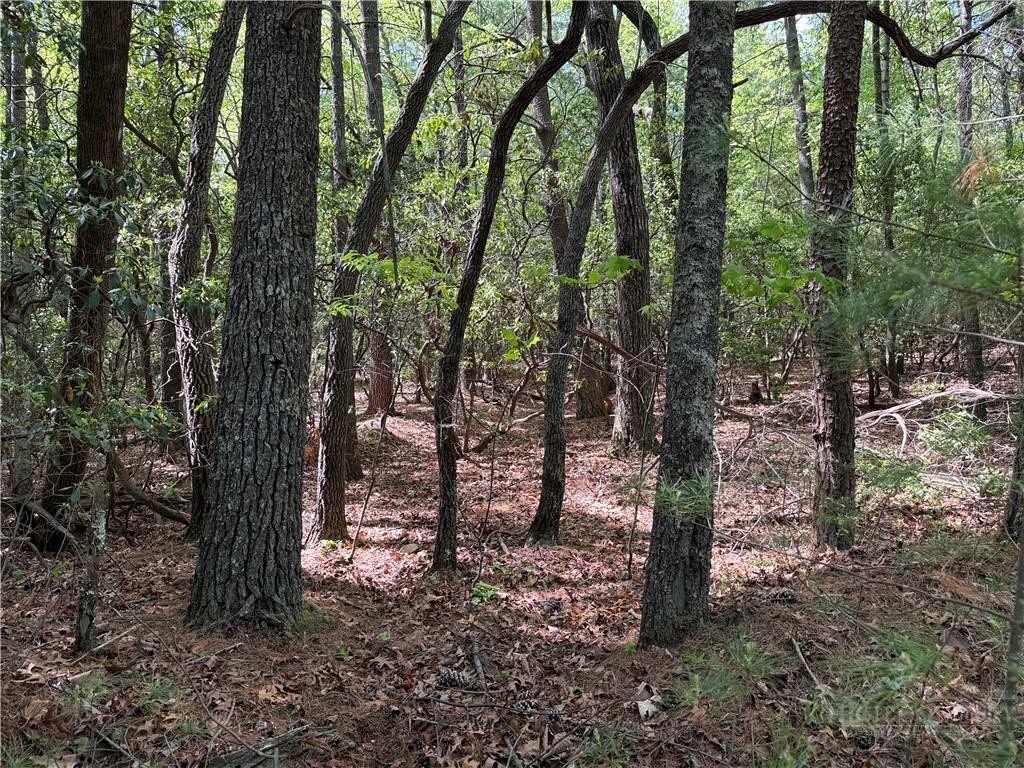 Lots 51 & 52a Staghorn Road Property Photo 15