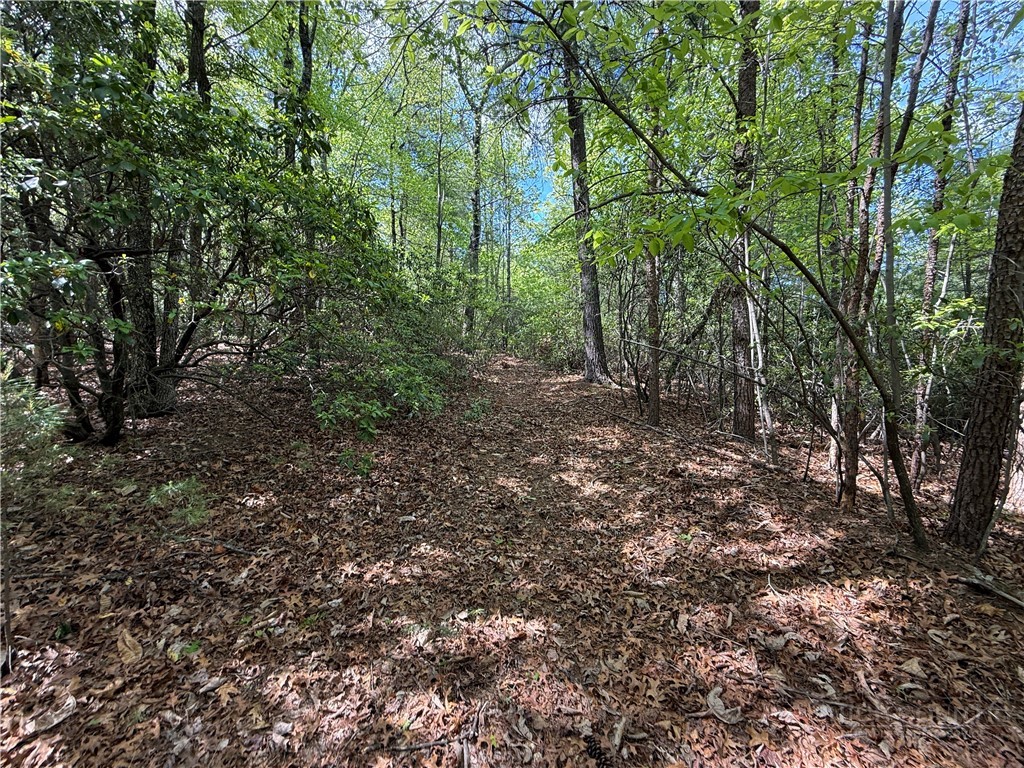 Lots 51 & 52a Staghorn Road Property Photo 16