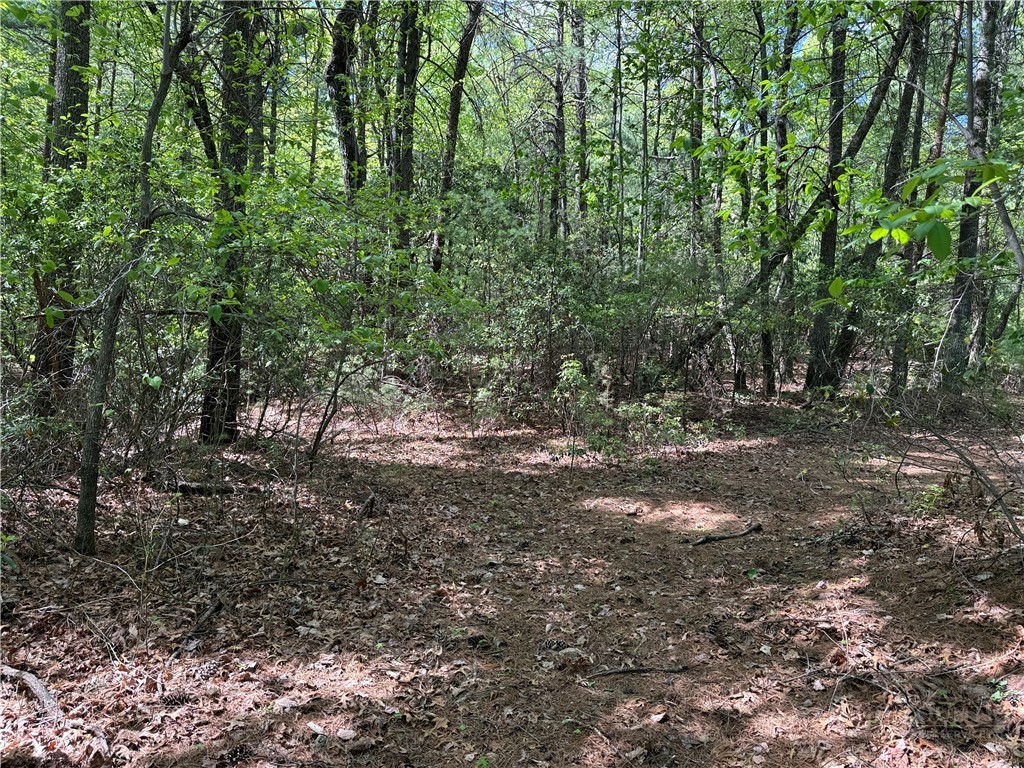 Lots 51 & 52a Staghorn Road Property Photo 17