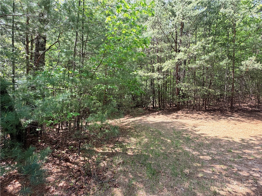Lots 51 & 52a Staghorn Road Property Photo 21