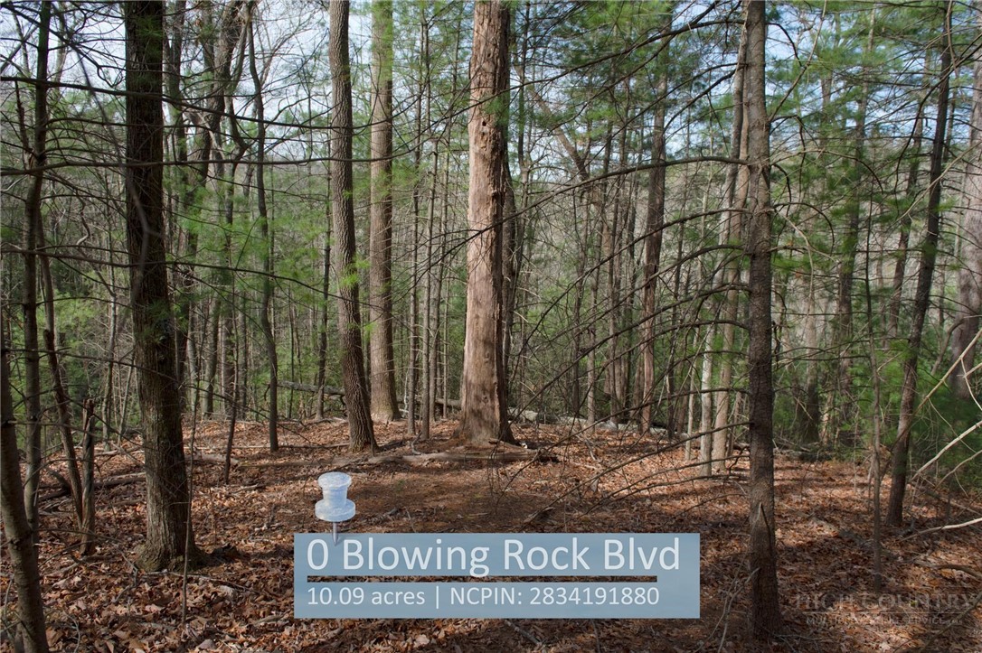 000 Blowing Rock Boulevard Property Photo 2