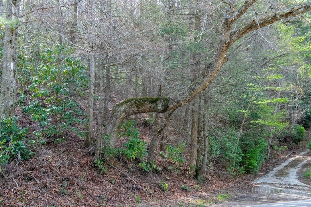 000 Blowing Rock Boulevard Property Photo 3