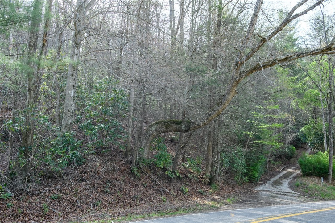 000 Blowing Rock Boulevard Property Photo 9