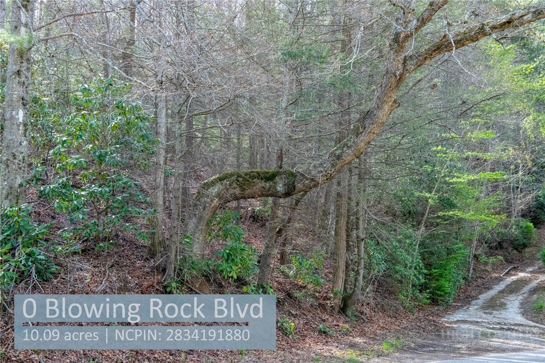 000 Blowing Rock Boulevard Property Photo 10