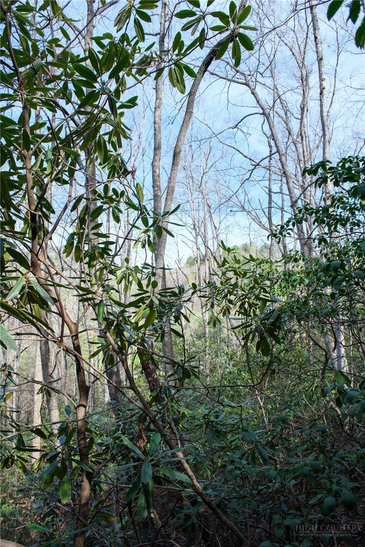 000 Blowing Rock Boulevard Property Photo 12