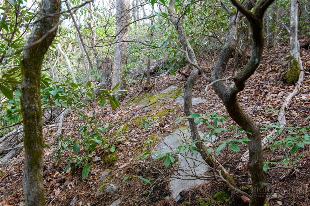 000 Blowing Rock Boulevard Property Photo 13