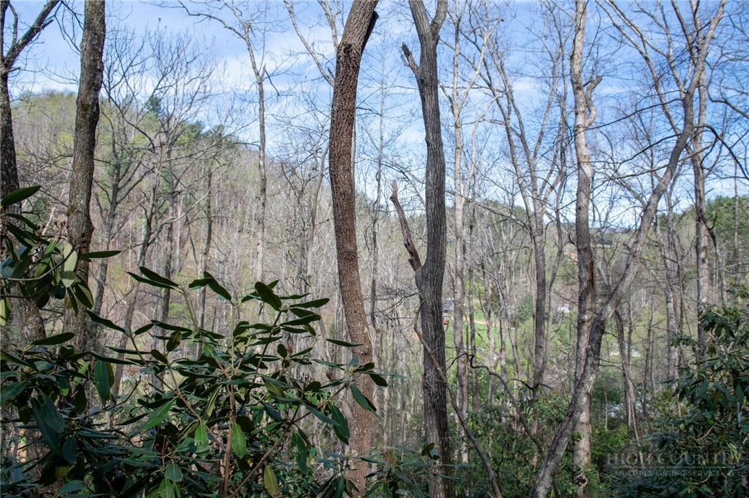 000 Blowing Rock Boulevard Property Photo 14