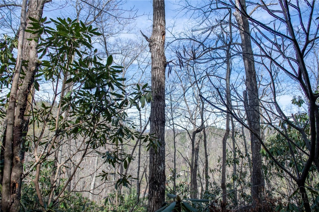 000 Blowing Rock Boulevard Property Photo 16