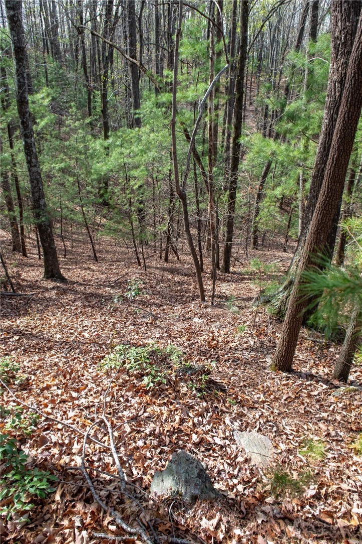 000 Blowing Rock Boulevard Property Photo 17